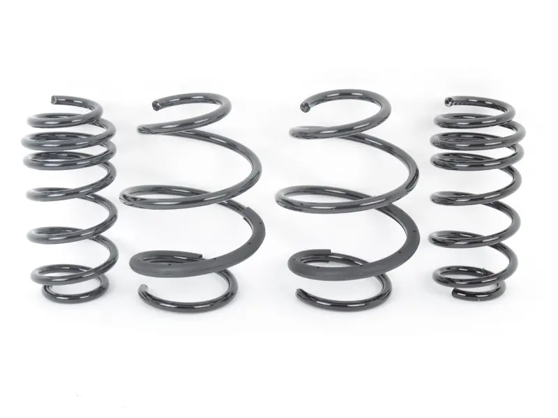 NM Engineering RS Alpha Lowering Springs