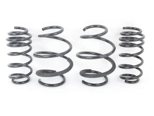 NM Engineering RS Alpha Lowering Springs