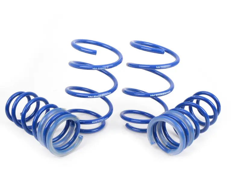 NM Engineering RS Alpha Lowering Springs